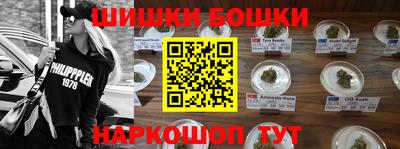 стафф Ставрополь