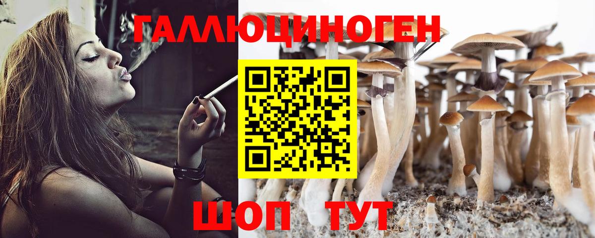 Галлюциногенные грибы ЛСД Моздок